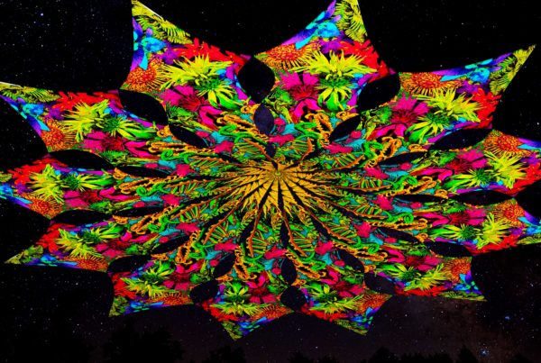 Ультрафиолетовое Канопи - Неоновый Декоративный Навес "Цветы и Папоротники", 12 лепестков