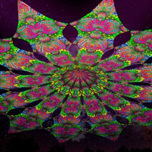 Ультрафиолетовое Канопи - Неоновый Декоративный Навес "Фрактальная Радуга", 12 лепестков