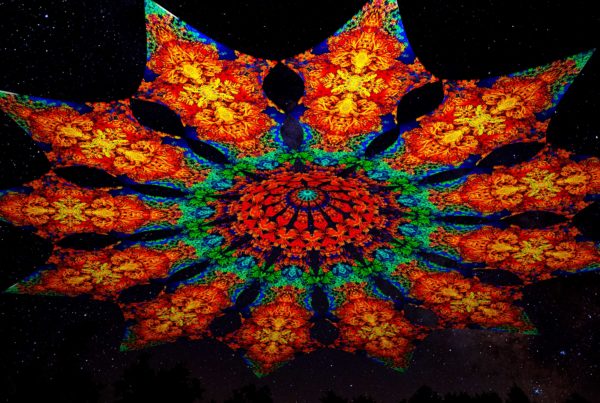 Ультрафиолетовое Канопи - Неоновый Декоративный Навес "Фрактальные Цветы", 12 лепестков