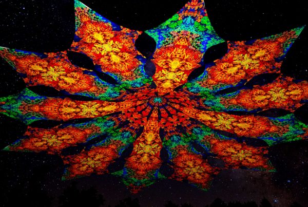Ультрафиолетовое Канопи - Неоновый Декоративный Навес "Фрактальные Цветы", 12 лепестков