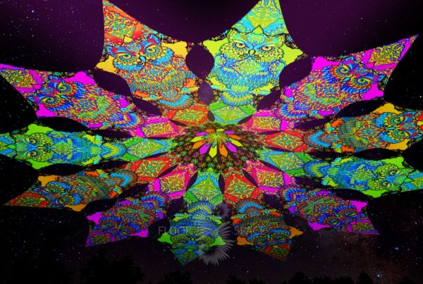 Ультрафиолетовое Канопи - Неоновый Декоративный Навес "Мудрые совы", 12 лепестков