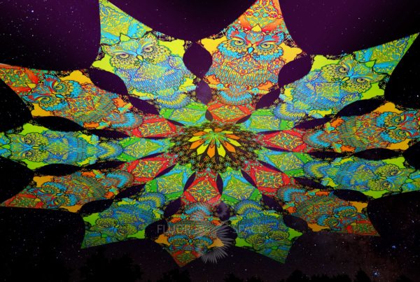 Ультрафиолетовое Канопи - Неоновый Декоративный Навес "Мудрые совы", 12 лепестков