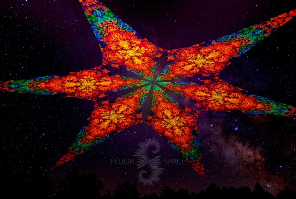 Ультрафиолетовое Светящееся Канопи - Неоновый Декоративный Навес "Fractal Flowers", 6 лепестков