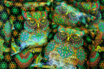 Флуоресцентная Светящаяся Подушка "Мудрая сова" Зеленый оттенок