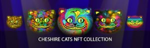 Roadmap of CHESHIRE CATS NFT collection